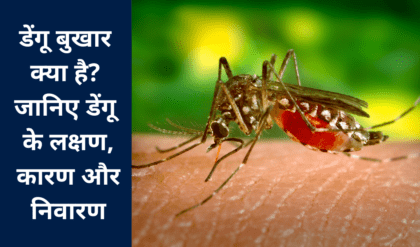 Dengue bukhaar kya hai Janiye Dengue ke lakshan,kaaran aur nivaaran डेंगू बुखार क्या है जानिए डेंगू के लक्षण,कारण और निवारण